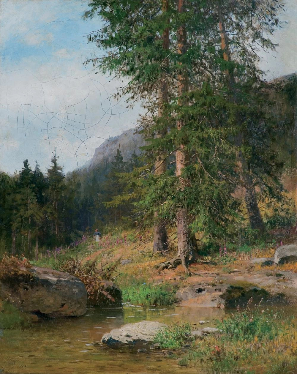 Tatra, paesaggio con pineta